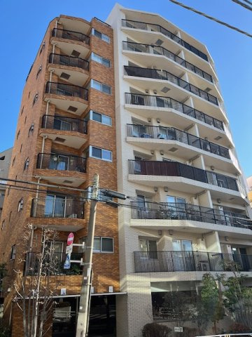 外観：313004544271