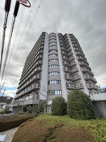 外観：325000125234