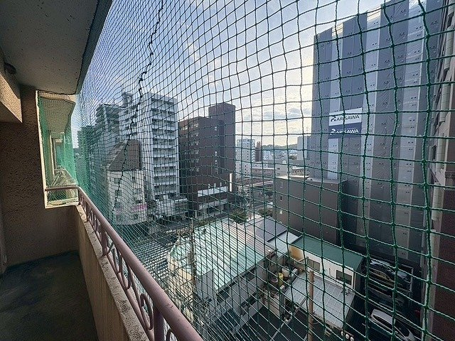 展望