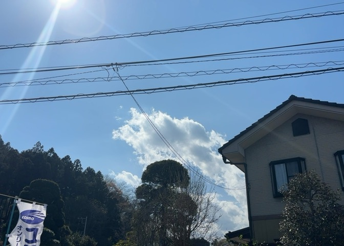 田園風景が味わえる土地に住みたい！海や山の見える自然豊かな土地に住みたい！などご要望に併せて当社営業がご提案させて頂きます。当社が抱えている数ある物件の中からお客様が納得する1件を一緒に探しましょう！
