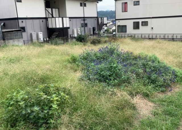 土地の形が極端に長細かったり、狭小地、あるいは道路との高低差がある傾斜地だった場合、後々売ろうとしても買い手がつかない場合もあります。後々、売却することになった時に価値の下がらない土地を選びましょう。