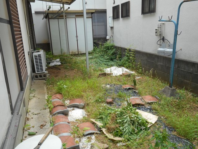 庭