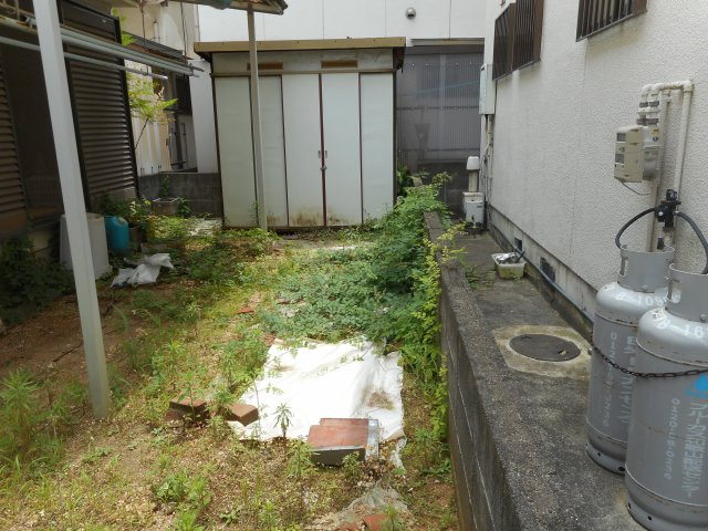 庭