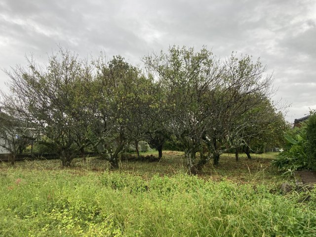 外観：346000037222