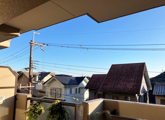 展望