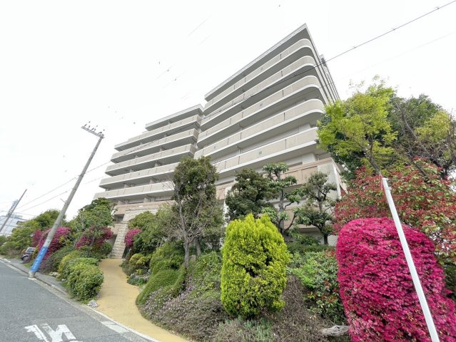 外観：327002205266