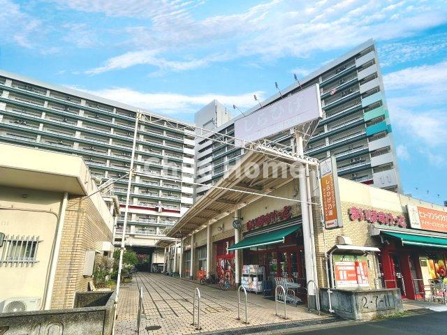 外観：313004673814