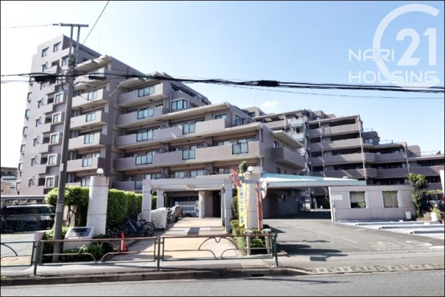 外観：313004684584