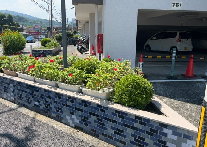 マンション敷地内の共用アプローチや中庭部分です。居住者様が心地よく通行できるようきれいに清掃・維持管理されています。日勤の管理体制で共用部の管理状況も良好な中古マンションとなっております。