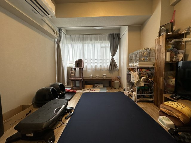 南東向きで明るいお部屋になっております。