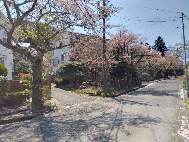 角地なので陽当たり良好で解放感があります。約110坪に建つゆとりある一戸建てです。
