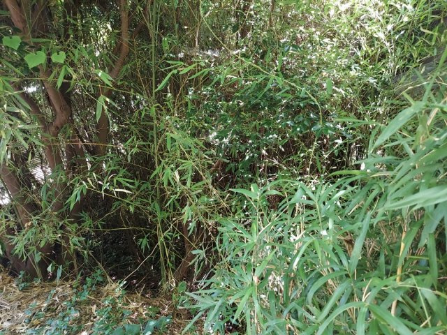 外観：314001880664