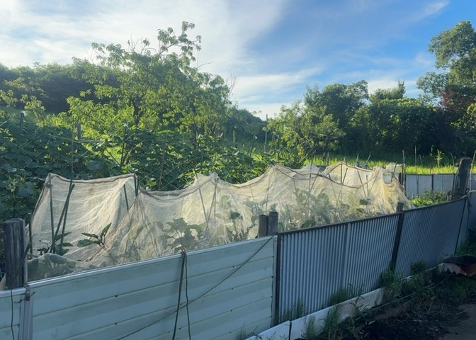 外観：314002389992