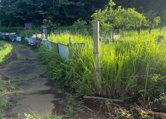 物件の詳細については、現地を見てわかること以外に、役所や法務局などで調べないとわからないことがあります。そのため、現地に行く場合は、もしこの物件を買ったらどのような生活ができるかをイメージしましょう。