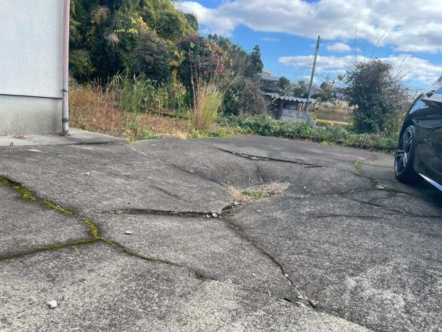 庭