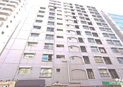 外観：313004547330