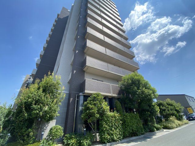 外観：334000231300