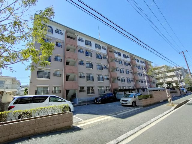 外観：312001291181