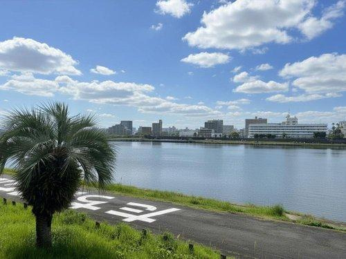 大淀川と宮崎のシンボル、ワシントニアパームが見えます♪(視認性を高めるために一部加工を行っております。