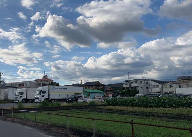 桜や紅葉の名所に出かける人は多いと思いますが、家にいながら季節の移ろいを感じる生活を送りませんか？リビングや窓から見える景色が生活を彩るワンポイントに！現地から見える景色を堪能してみては如何でしょう。