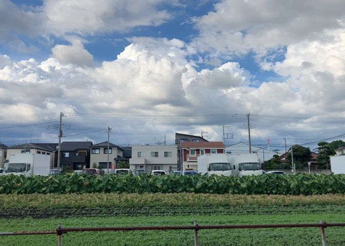 眺望を気にして物件を探す場合、前面に建物が建っていないか現地で確認しましょう！前面に建物があると景色はもちろん、日当たりや風通しにも影響が出てきます。住んだ時のことを想像しながら現地見学をしましょう。