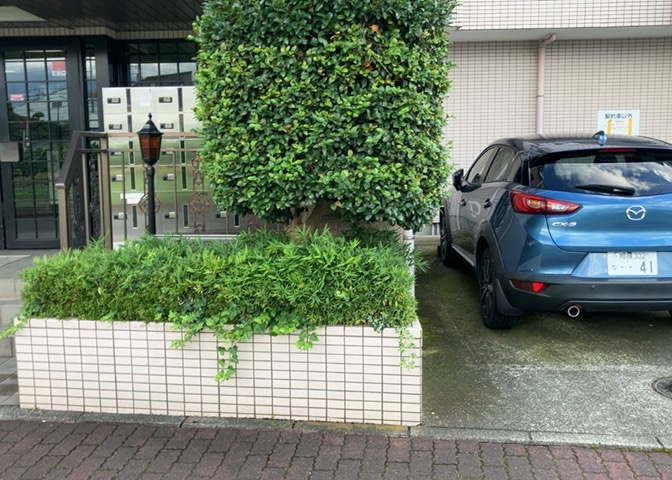 庭があることでガーデニングや家庭菜園はもちろん、こどもの遊び場やペットを放して遊ぶことができます。また、家の周囲に余裕があるということです。隣地との間があれば、十分な日当たりと、風通しが確保できます。