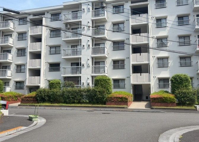 外観：313004769166