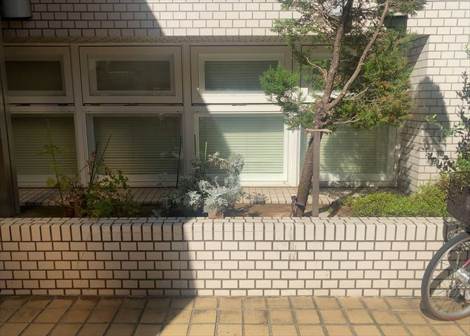 庭
