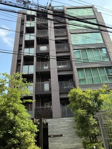 外観：313004888086