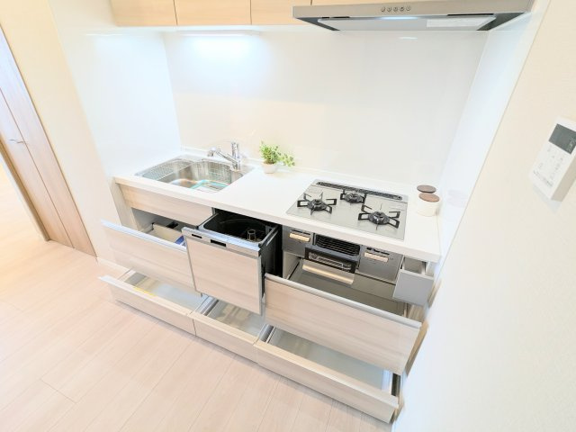 ～食器洗浄乾燥機付のシステムキッチン写真～　日々の洗い物の負担が軽減されます！