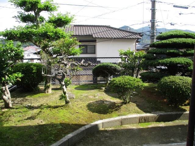 庭