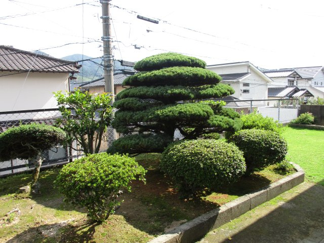 庭