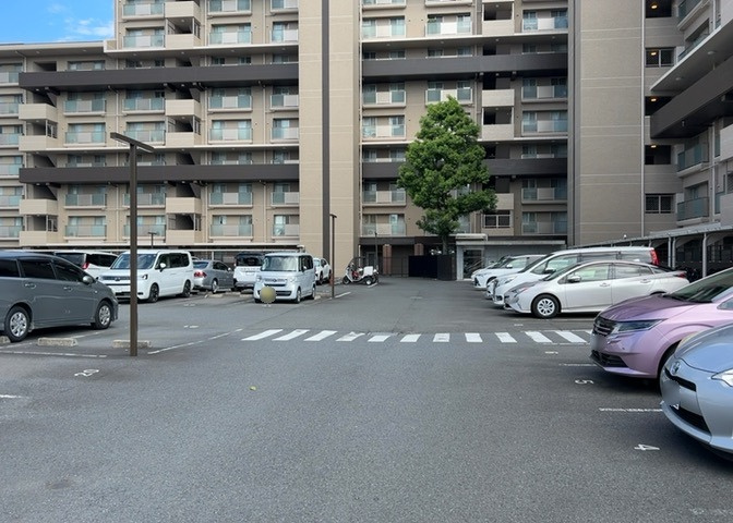 外観：314002824835