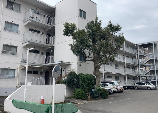 外観：313004488846