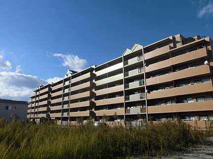 外観：334000239872