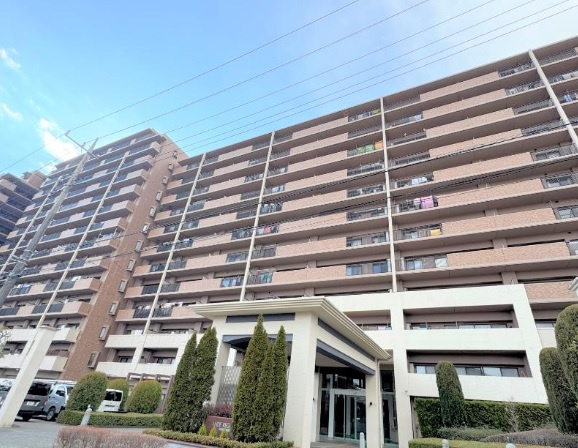 外観：313004711465