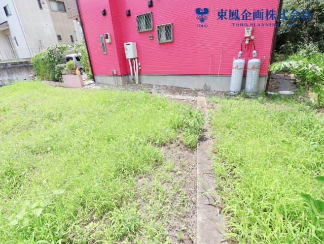 2026年7月　撮影