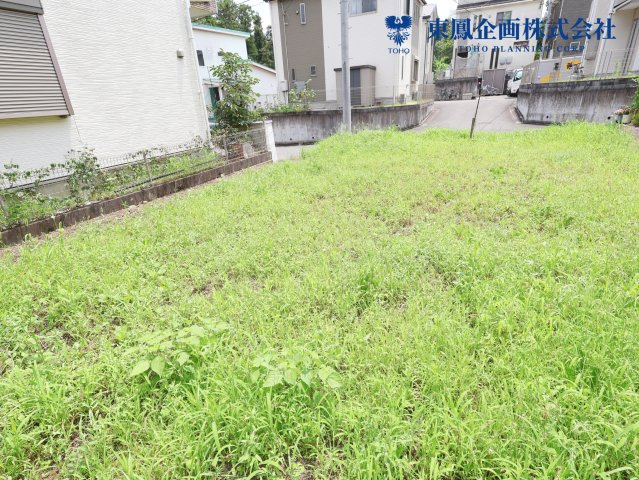 2026年7月　撮影