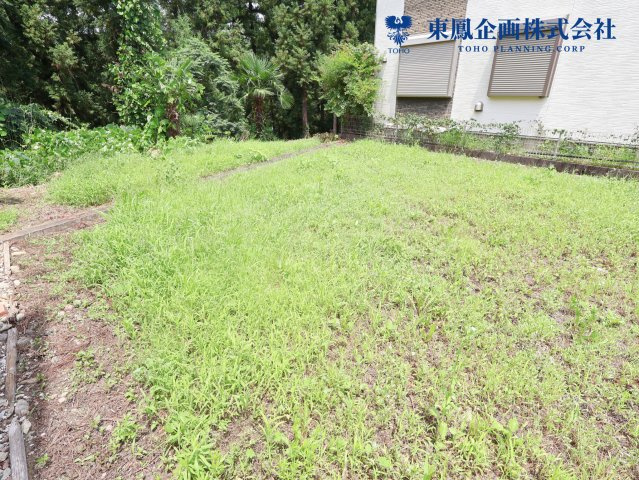 2026年7月　撮影