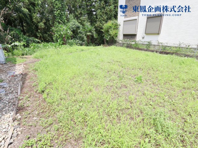 2026年7月　撮影