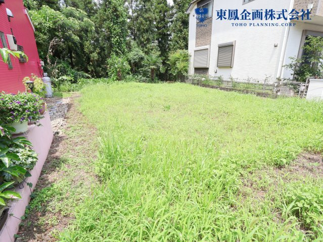 2026年7月　撮影