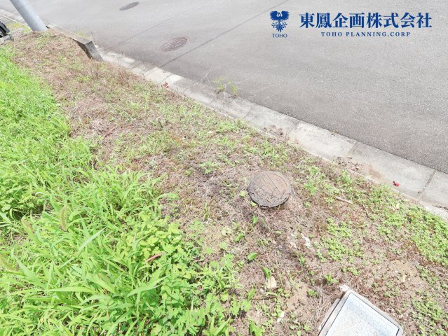 2026年7月　撮影