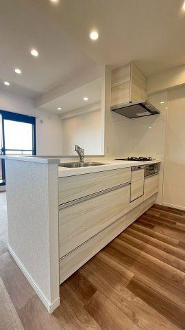 ダイアパレス新石切フォレストタウンのキッチン