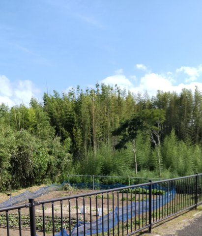 外観：312001173011