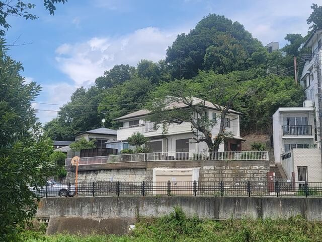 外観：313004519626