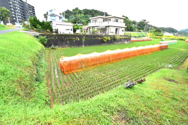 外観：346000037978