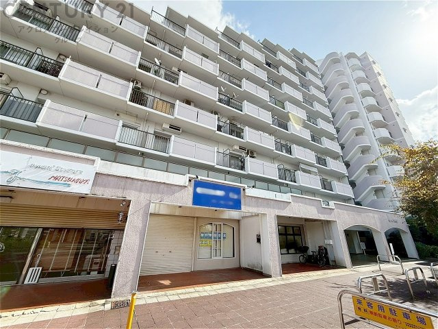 鉄骨鉄筋コンクリート造11階建