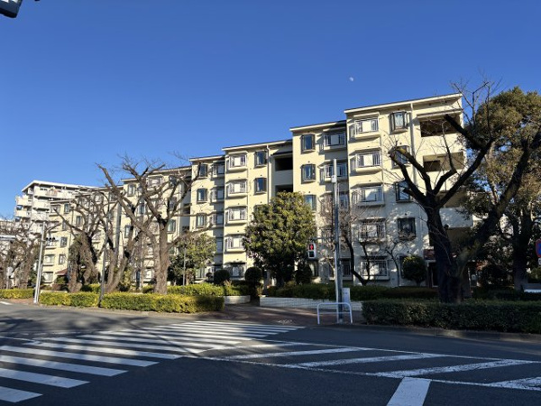 光が丘パークタウンゆりの木通り北弐号館の画像