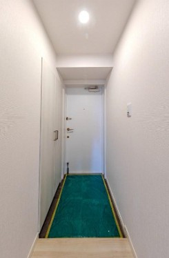 【 HP限定公開 ライオンズプラザ武蔵小金井6階の玄関】