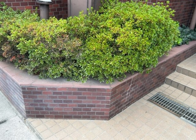 中庭（パティオ）とは、一つの建築物の内部に設けられた、壁などで囲われている庭のことを指します。コの字型、ロの字型が主流ですが、L字型の中庭もあります。最近では、インテリア性の高さからも人気があります。